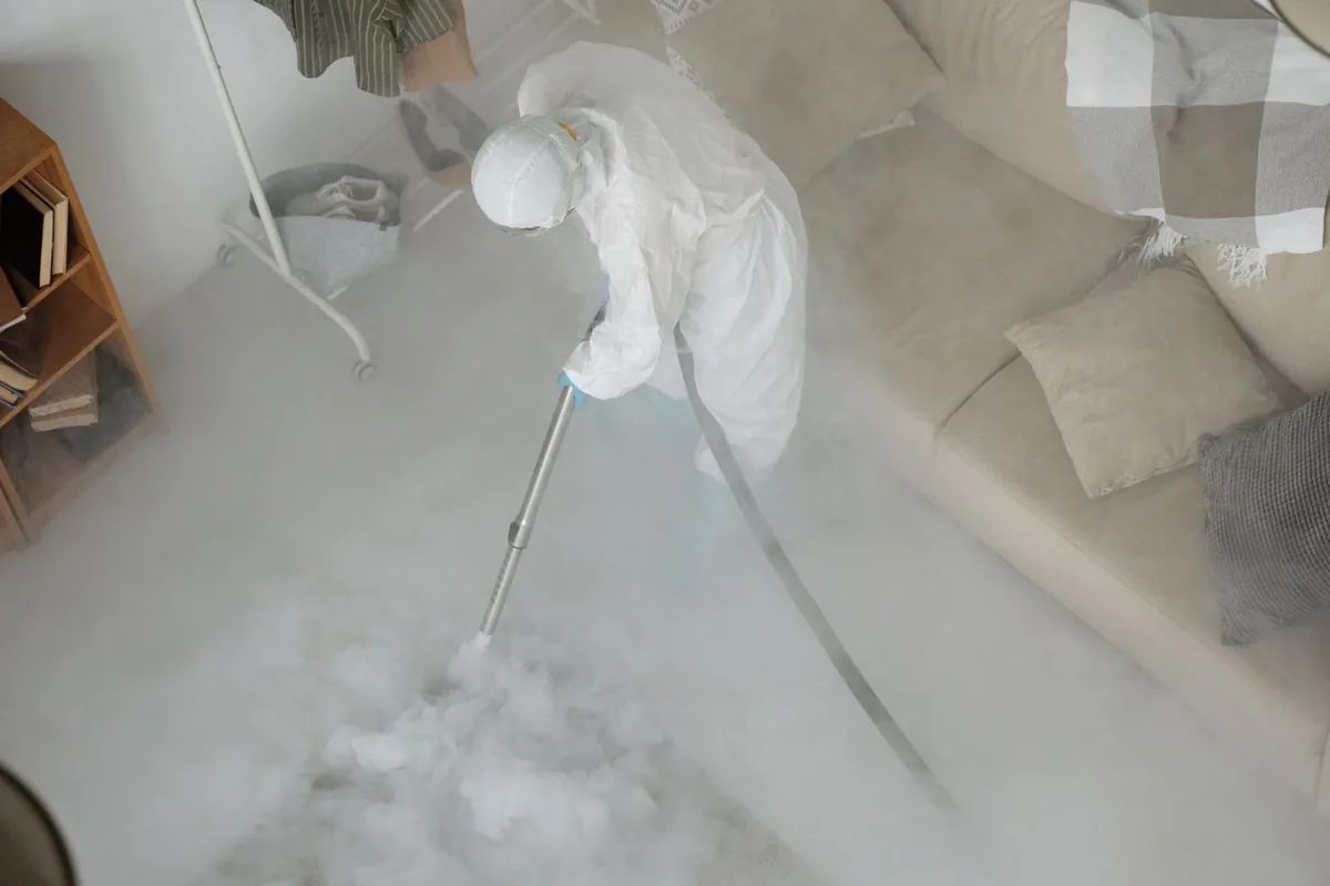 Biohazard Cleanup in Allegany, NY
